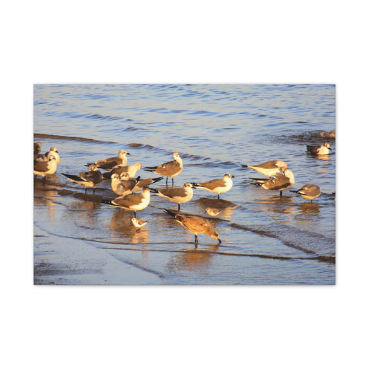 Coastal Seagull Canvas Art, Beach Decor, Ocean Wall Art, Bird Photography Print, Nautical Home Decoration, Gift for Nature Lovers